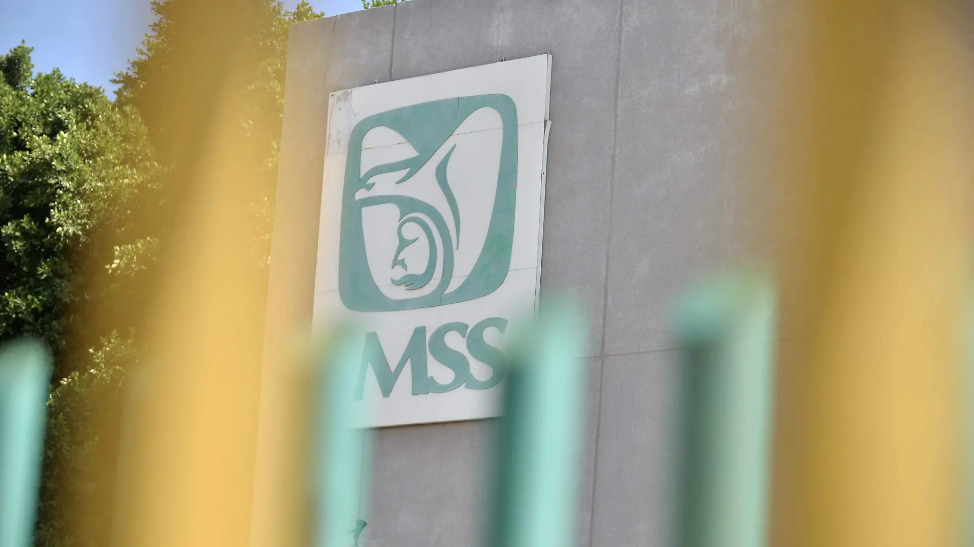 IMSS CLÍNICA 47